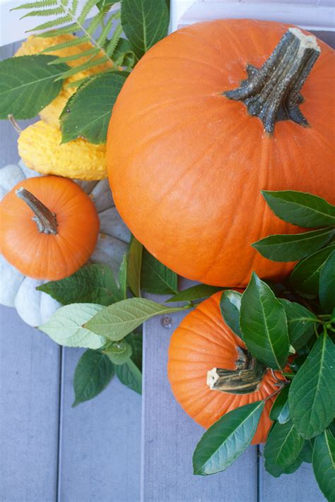 Decorating for Fall With Pumpkins - The Lettered Cottage