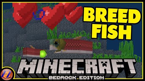 Can you breed fish Minecraft? - Rankiing Wiki : Facts, Films, Séries, Animes Streaming ...