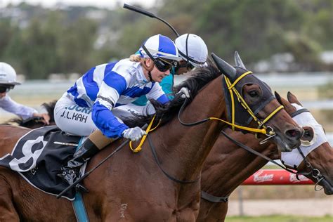 2019 Adelaide Cup Form Guide | Racing SA