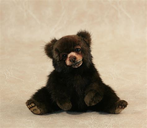 New England Bears, Inc. - Baby Bears for Sale | Purchase Live Baby Bear Cubs in New England ...