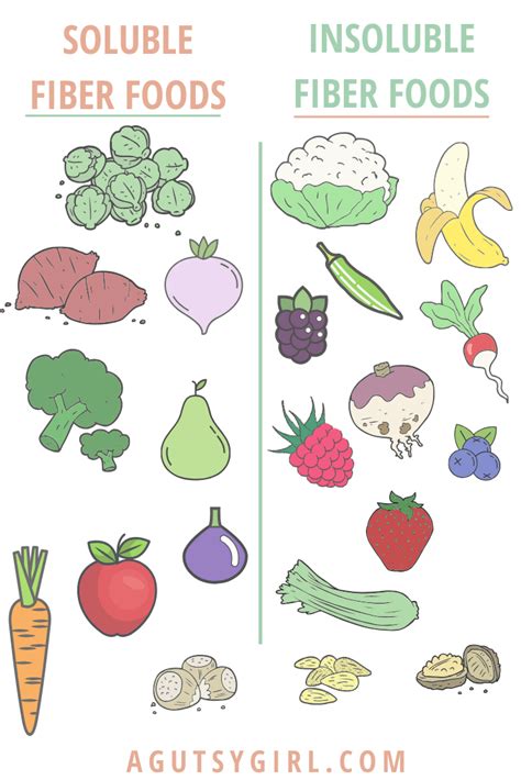 Soluble vs Insoluble Fiber - A Gutsy Girl®