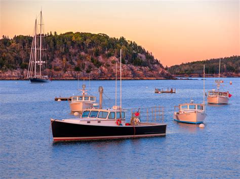 Free Stock Photo 12077 boats in bar harbor | freeimageslive