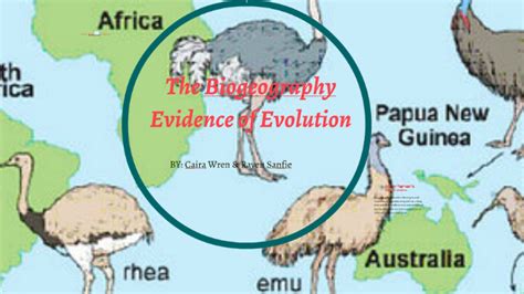 The Biogeography Evidence of Evolution by Caria Wren on Prezi