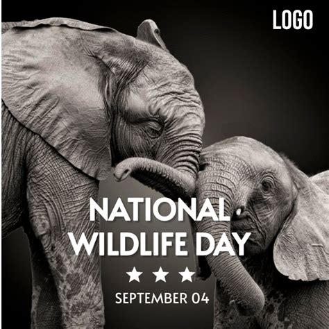 National wildlife day poster Template | PosterMyWall