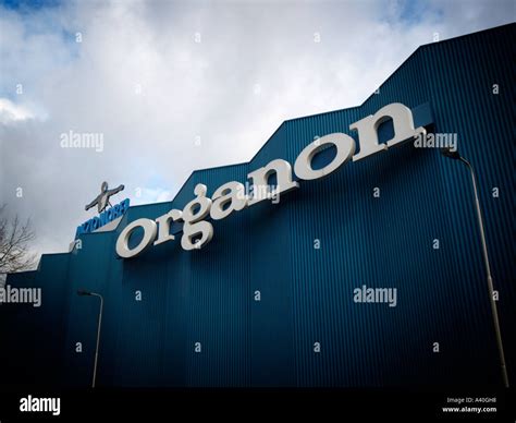 Organon hi-res stock photography and images - Alamy