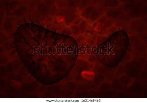 3d Illustration Close Microscope Rabies Virus Stock Illustration 1631469463 | Shutterstock