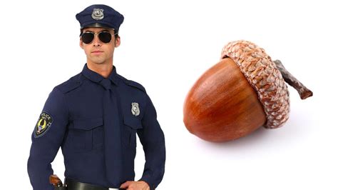 What's The 'Acorn Cop' Meme? The Trend And Viral Video Of A Cop Being ...