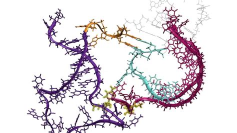 mRNA Folding Mechanisms and Approaches at the Secondary Structure Level