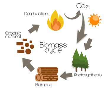 Biomass Examples