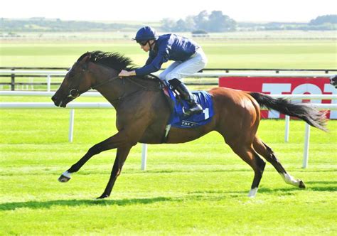 PEDIGREE ANALYSIS: Galileo just one short of the 300-mark