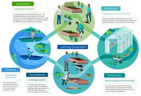 A learning ecosystem model