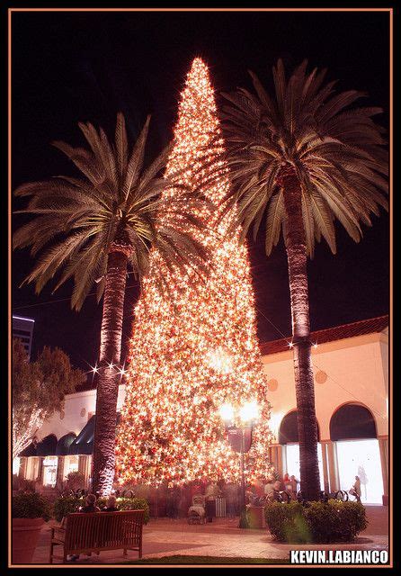 The Christmas Tree at Fashion Island, in Newport Beach, CA via flickr Christmas Light Displays ...