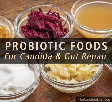 12 Probiotic Foods For Improved Gut Health » The Candida Diet | Candida ...