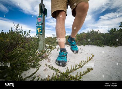 Agulhas National Park protects fynbos habitat and offers hiking trails and beach combing near ...