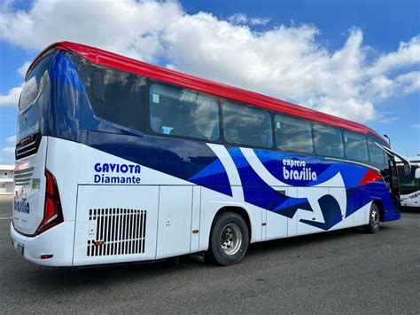 Expreso Brasilia y Marcopolo presentan nuevo bus G8 - Expreso Brasilia S.A | Tiquetes en Bus ...