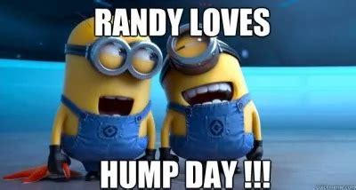 55 Funny Hump Day Memes - Best Wednesday Memes – Tiny Inspire