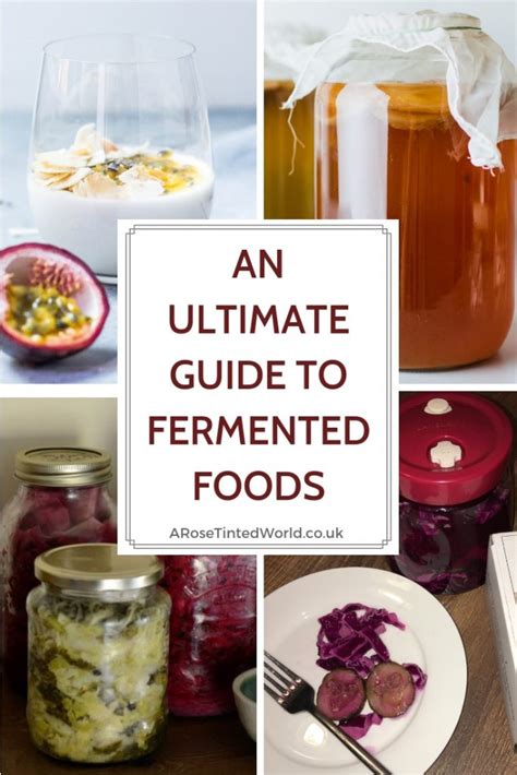 Ultimate Guide To Fermented Foods ⋆ A Rose Tinted World