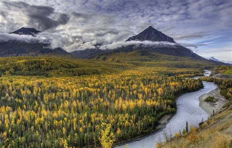 landscape, clouds, mountains, plants, nature, Alaska, flowers, outdoors ...