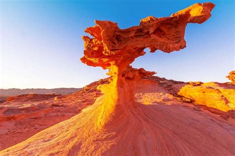 First-timer's Guide to Gold Butte National Monument in Nevada, USA