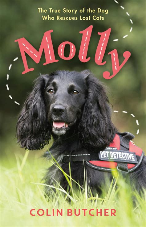 Molly: The True Story of the Dog Who Rescues Lost Cats