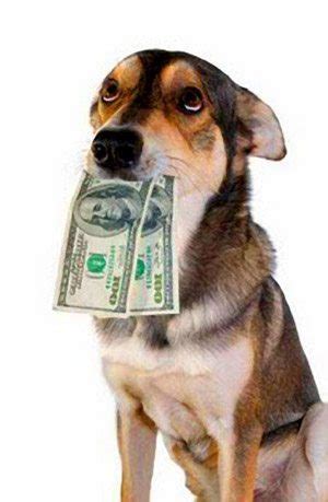 dog-eat-money - Dog Files