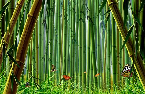 Online crop | HD wallpaper: bamboo forest illustration, grass, butterfly, nature, bamboo - Plant ...