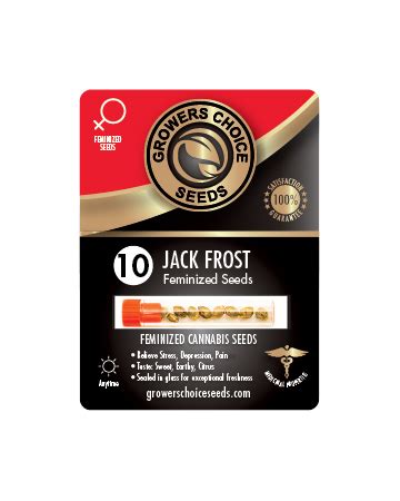 Jack Frost Seeds | Jack Frost Strain Seeds - Growers Choice Seeds