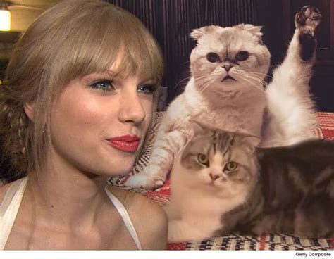 Taylor Swift Has Her Cats' Names Trademarked | Billy the Kidd | iHeartRadio