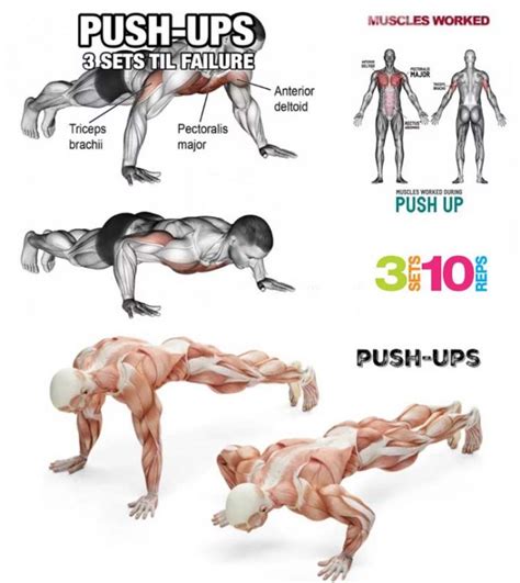 How to Do Perfect Pushup: Decline & Incline | Exercises Guide