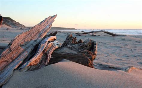 Pescadero State Beach / Northern California / California // World Beach Guide