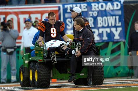 18 Carson Palmer Injury Stock Photos, High-Res Pictures, and Images - Getty Images