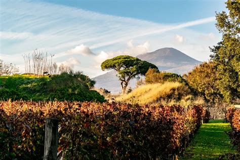 How to Visit Pompeii and Mount Vesuvius in One Day - Our Escape Clause