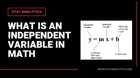 What Is An Independent Variable In Math? | A Quick Guide For Students