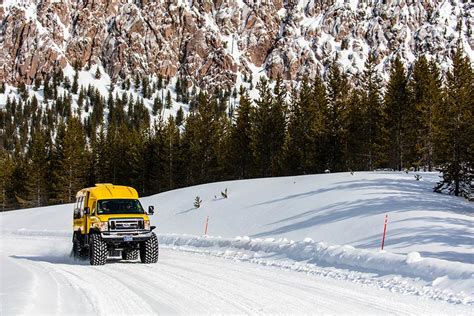 Yellowstone winter tours - Yellowstone Tours