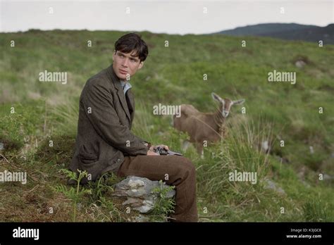 THE WIND THAT SHAKES THE BARLEY CILLIAN MURPHY at mountain cottage THE ...