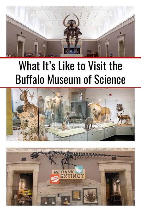 What It's Like to Visit the Buffalo Museum of Science - Uncovering New York