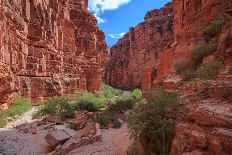 Havasu Falls Hike via Havasupai Trail | Outdoor Project