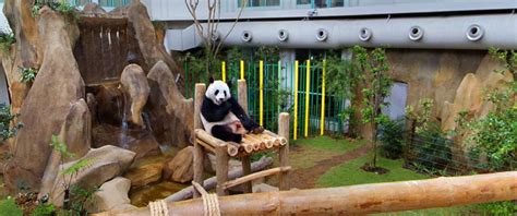Zoo Negara Entrance + Giant Panda Ticket | Ticket2u