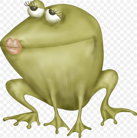 Frog And Toad Clip Art Openclipart, PNG, 1013x1021px, Frog, Amphibian ...