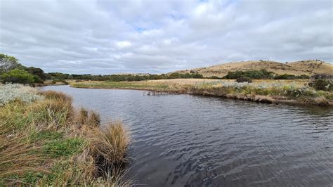 Yankalilla River - Yankalyailla River, Normanville SA 5204, Australia