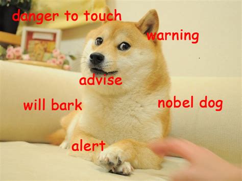 The Curious Linguistics of the Doge in the Internet | The League of Nerds