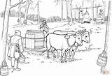 Oxen Pulling Sled With Maple Syrup Barrel coloring Page  Free sketch template