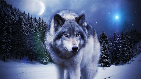 Wolf in the winter by Sky-X-Wolf on deviantART | Animal canvas, Moon wall art, Wolf canvas