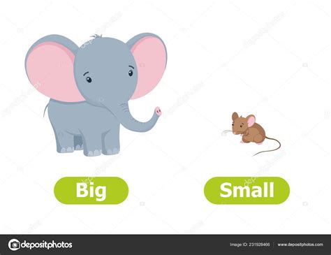 Vector Antonyms Opposites Big Small Cartoon Characters Illustration White Background Stock ...