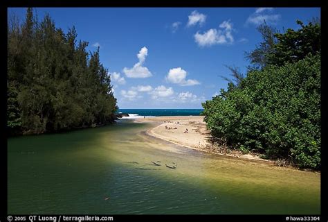 Picture/Photo: Stream and beach. North shore, Kauai island, Hawaii, USA