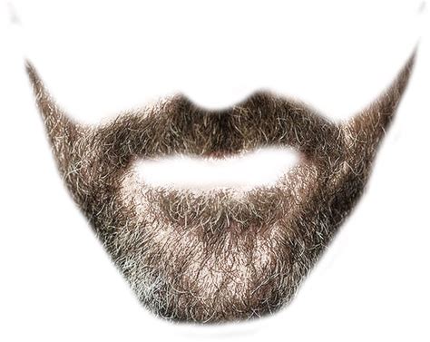 Collection of Moustache Styles PNG. | PlusPNG