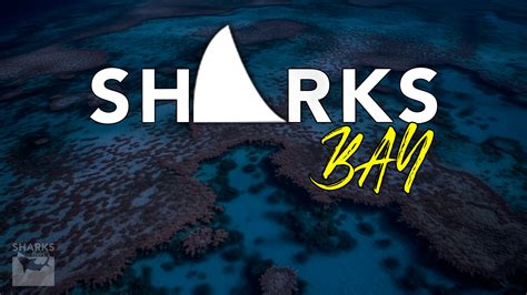 Shark Bay | World Heritage Site Rich in Marine Life, And Mangroves – sharksinfo.com