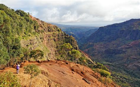 Hiking Waimea Canyon Trail: Everything You Need to Know