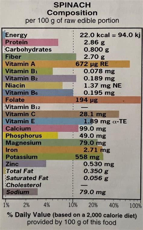 Discover The Amazing Spinach Health Benefits