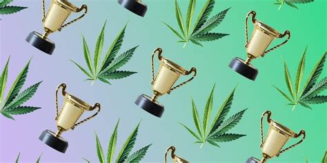 Best Hybrid Strains to Try in 2022 and 2023